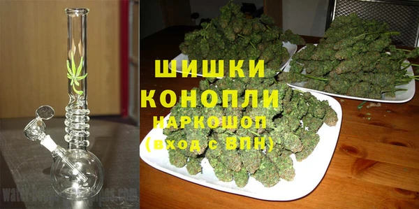 винт Бородино