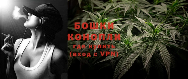 винт Бородино