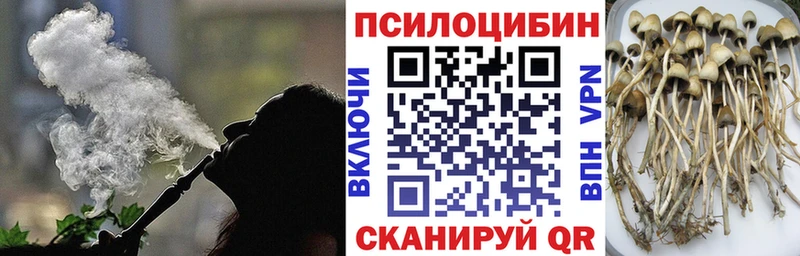 Галлюциногенные грибы прущие грибы  Яхрома 
